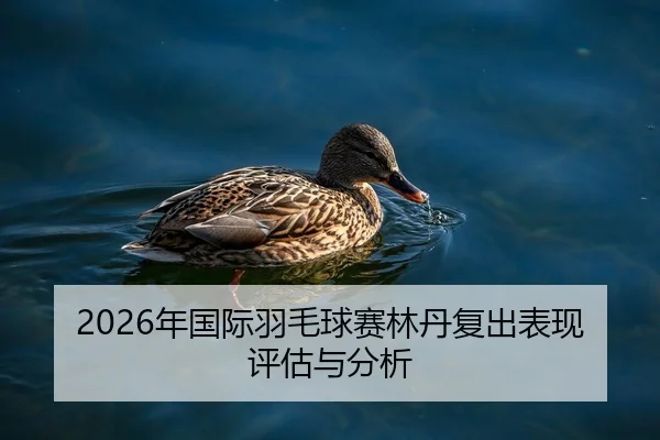 2026年国际羽毛球赛林丹复出表现评估与分析